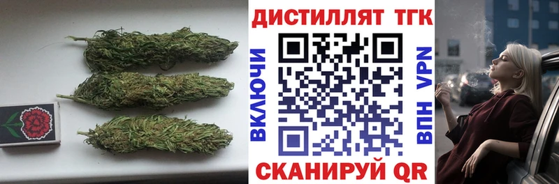 купить наркоту  Нолинск  Дистиллят ТГК гашишное масло 