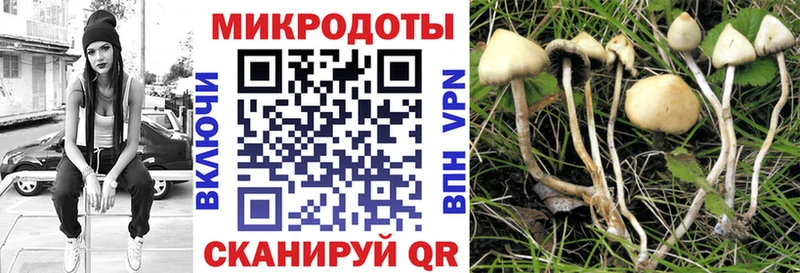 Галлюциногенные грибы Cubensis  Нолинск 